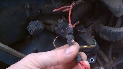 chewed car wire