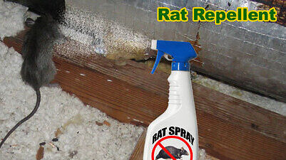 rat repellent