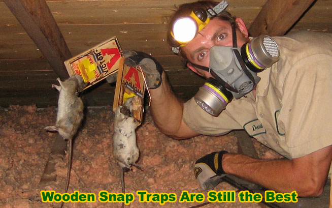 Rat traps