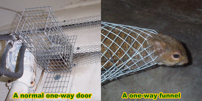 http://www.attic-rat.com/one-way-door.jpg